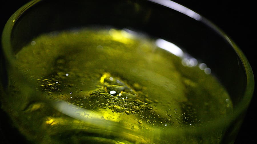 assumere 20 grammi di olio evo al giorno