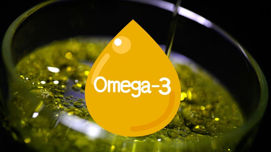 omega3 e olio extravergine contro invecchiamento