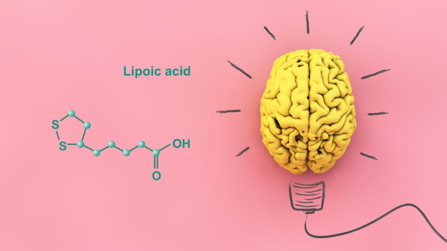 Tutti i benefici cerebrali dell'Acido Alfa-lipoico