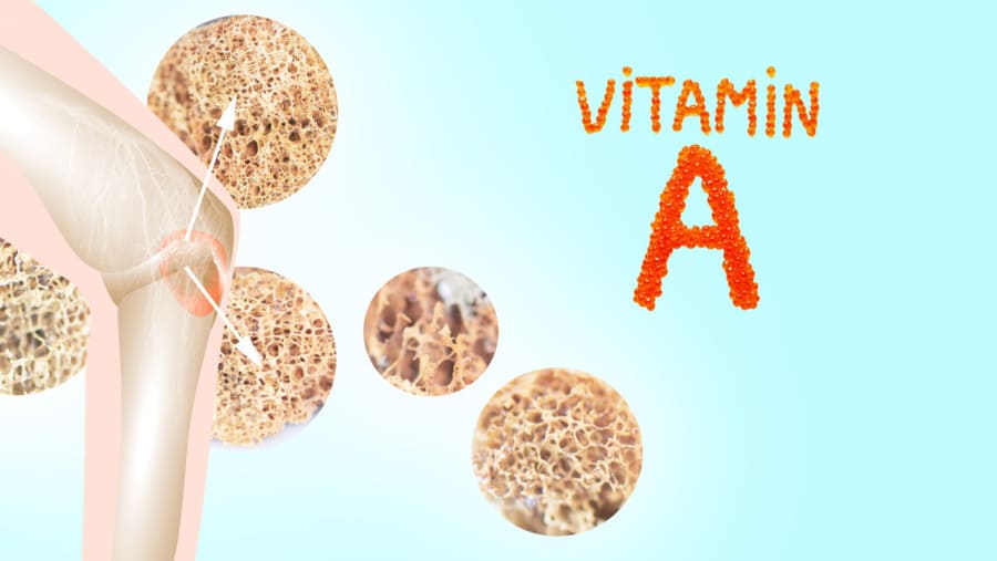 Vitamina A e Menopausa: Benefici per le Ossa